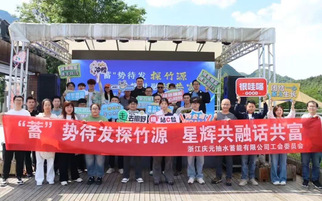 庆元抽蓄党建带团建活动